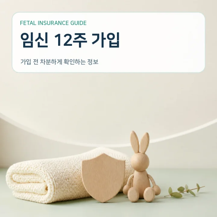 태아보험 임신 12주 가입